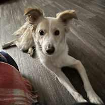 Thumbnail photo of Zuko #2