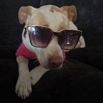 Thumbnail photo of Barbie #3