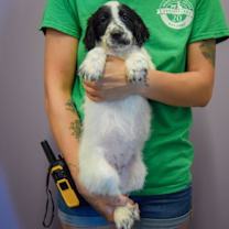 Thumbnail photo of Harris #3