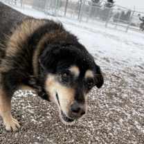 Thumbnail photo of Nova #2