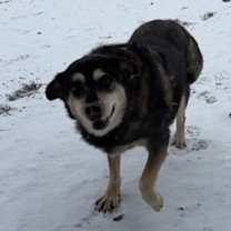 Thumbnail photo of Nova #3