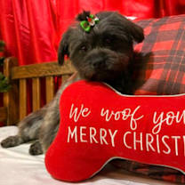 Thumbnail photo of Betty #1