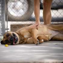 Thumbnail photo of Mayonnaise #2