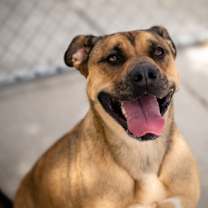 Thumbnail photo of Mayonnaise #3