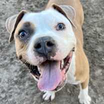 Thumbnail photo of Maddi #1