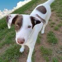 Thumbnail photo of Lucky #2