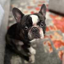 Thumbnail photo of Jersey #2