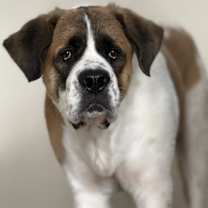 Thumbnail photo of Junior #1