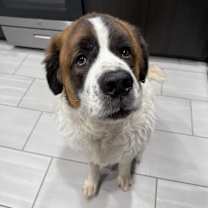 Thumbnail photo of Junior #2