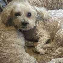 Thumbnail photo of Xavier #1