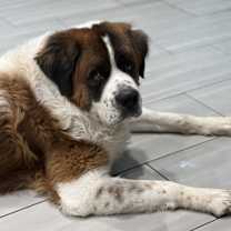 Thumbnail photo of Junior #3