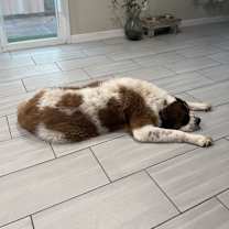 Thumbnail photo of Junior #4