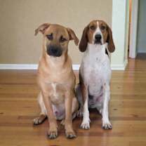 Thumbnail photo of JuneBug ~ meet me! #3