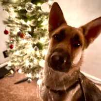 Thumbnail photo of Woody #2