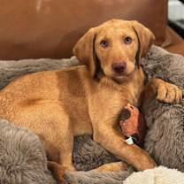 Thumbnail photo of Mezcal #1