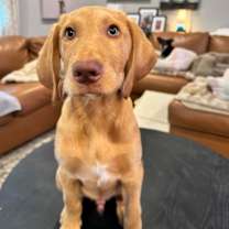 Thumbnail photo of Mezcal #2