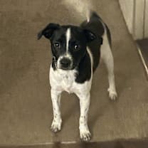 Thumbnail photo of Axel #2