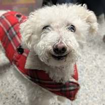 Thumbnail photo of Zeke #1