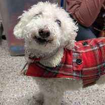 Thumbnail photo of Zeke #3