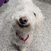 Thumbnail photo of Zeke #4