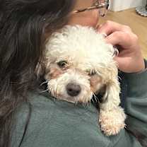 Thumbnail photo of April #3