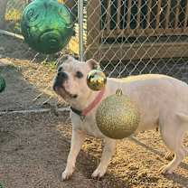 Thumbnail photo of Tippy Tap #1