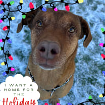 Thumbnail photo of Gumbo - Better than your southern cooking! #1