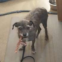 Thumbnail photo of Sarah #4