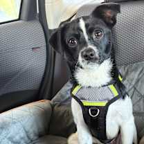 Thumbnail photo of Axel #3