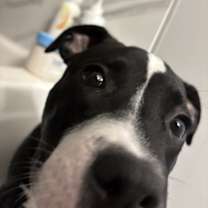 Thumbnail photo of Hermès #1