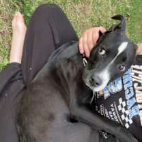 Thumbnail photo of Hermès #2