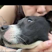 Thumbnail photo of Hermès #3