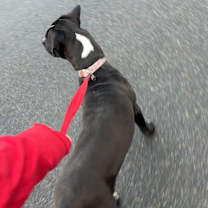 Thumbnail photo of Hermès #4