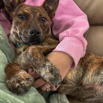 Thumbnail photo of Evan #4