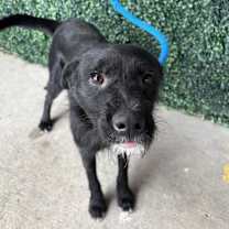 Thumbnail photo of 59947374 #1