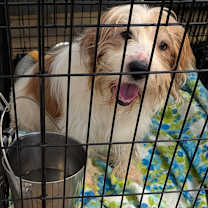 Thumbnail photo of Spot (Photos 12/13/2025) #2