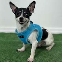 Thumbnail photo of Beto #1