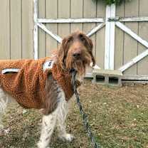 Thumbnail photo of Annie-Sue #1