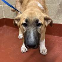 Thumbnail photo of Verne #2