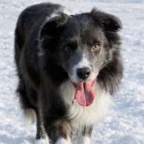 Thumbnail photo of Banks #1