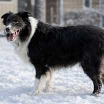 Thumbnail photo of Banks #2