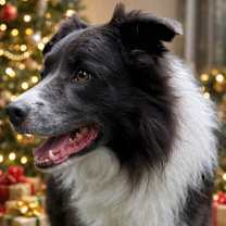 Thumbnail photo of Banks #3