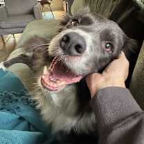 Thumbnail photo of Banks #4