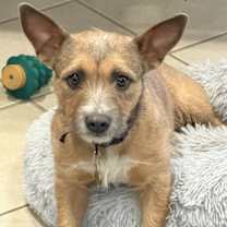 Thumbnail photo of Edie #1