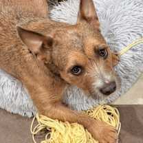 Thumbnail photo of Edie #2