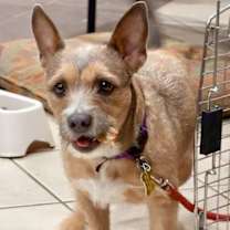 Thumbnail photo of Edie #4