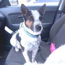 Thumbnail photo of Nod #1