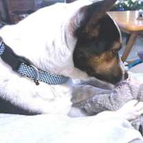 Thumbnail photo of Nod #2