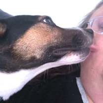 Thumbnail photo of Nod #3