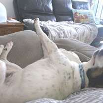 Thumbnail photo of Nod #4